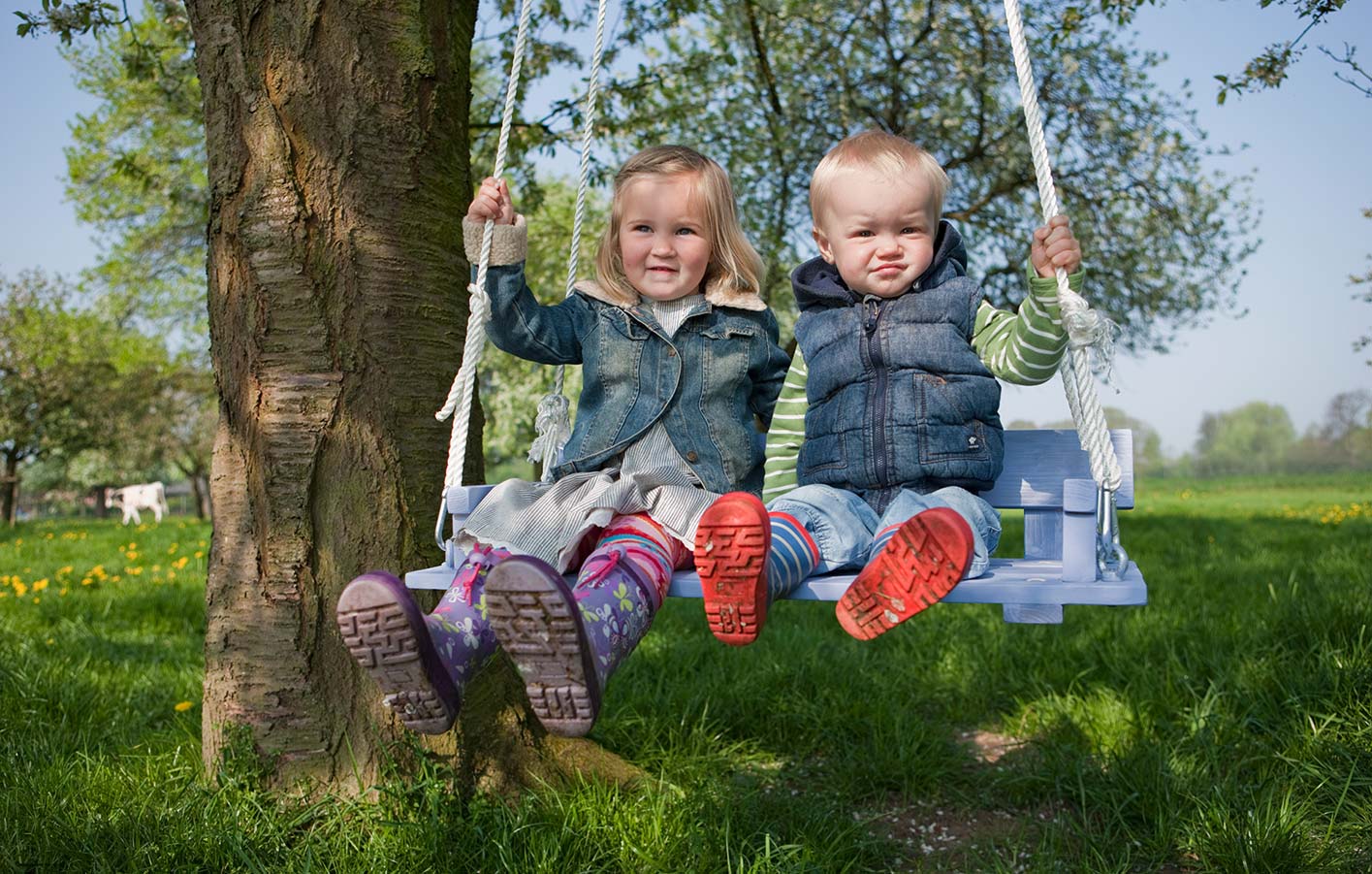 Kinder schaukeln auf einer Baumschaukel